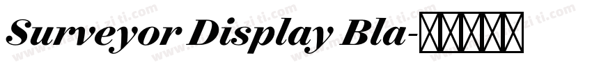 Surveyor Display Bla字体转换